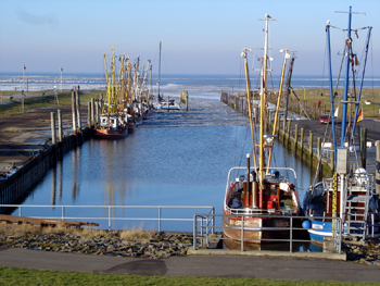 Kutterhafen von Dorum-Neufeld